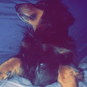 Meet your Posher, Mallory